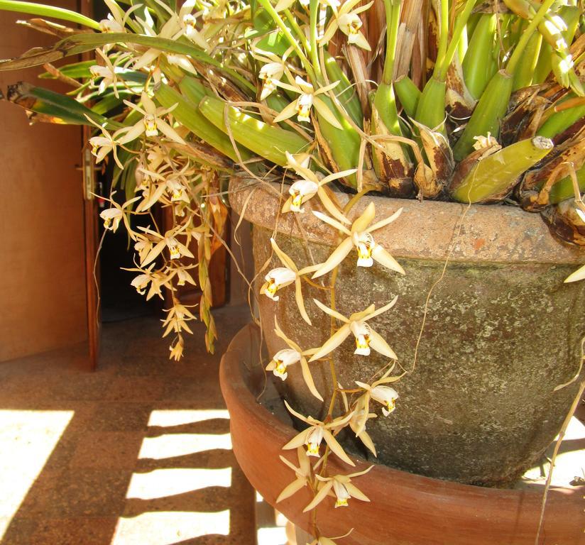 אנטננריבו Meva Guesthouse מראה חיצוני תמונה